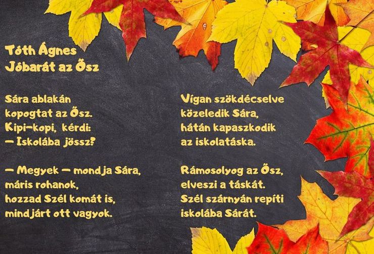 https://margit2.hu/forumba-kepek/462-toth-agnes-jobarat-az-osz.jpg
