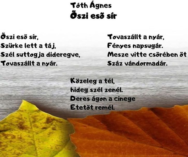 https://margit2.hu/forumba-kepek/468-toth-agnes-oszi-eso.jpg
