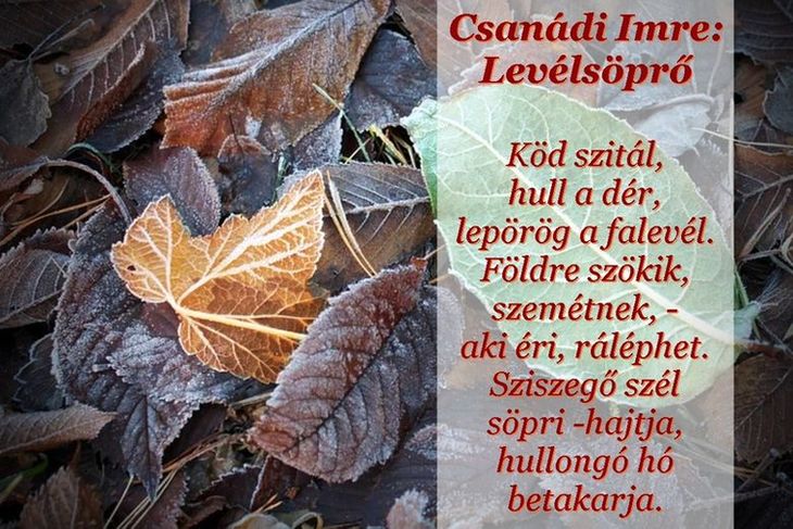 https://margit2.hu/forumba-kepek/471-csanadi-imre-levelsopro.jpg