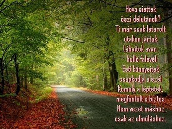 https://margit2.hu/forumba-kepek/472-hova-siettek-oszi.jpg
