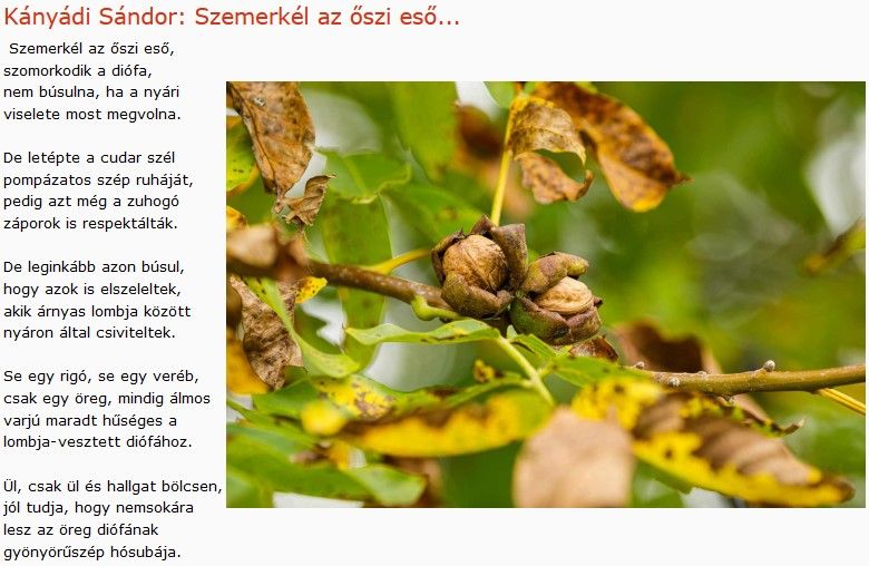 https://margit2.hu/forumba-kepek/480-kanyadi-sandor-szemerkel-az-oszi-eso....jpg