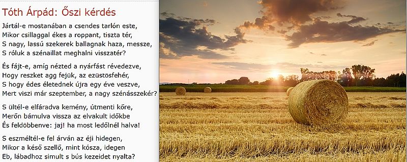 https://margit2.hu/forumba-kepek/82-toth-oszi-kerdes.jpg