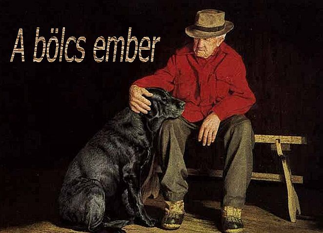 https://margit2.hu/forumba-kepek/a-bolcs-ember.jpg