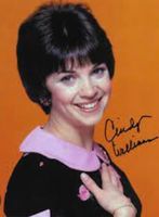 https://margit2.hu/forumba-kepek/cindy-williams.jpg