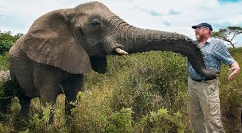 https://margit2.hu/forumba-kepek/elefant-anthony.jpg