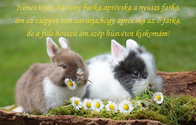 https://margit2.hu/forumba-kepek/kellemes-husvetot-2022.jpg