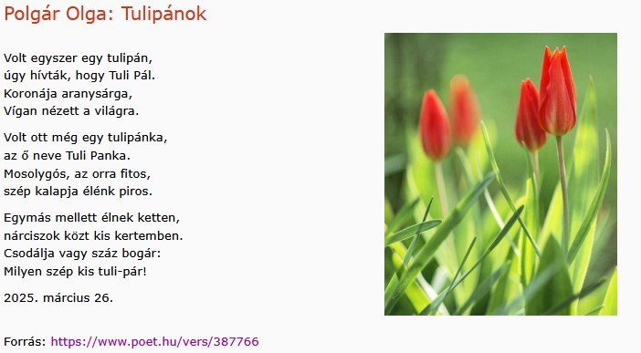 https://margit2.hu/forumba-kepek2/1031-polgar-olga-tulipanok.jpg