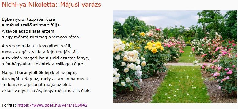 https://margit2.hu/forumba-kepek2/1058-nichi-ya-nikoletta-majusi-varazs.jpg