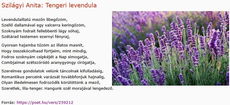 https://margit2.hu/forumba-kepek2/1062-szilagyi-anita-tengeri-levendula.jpg