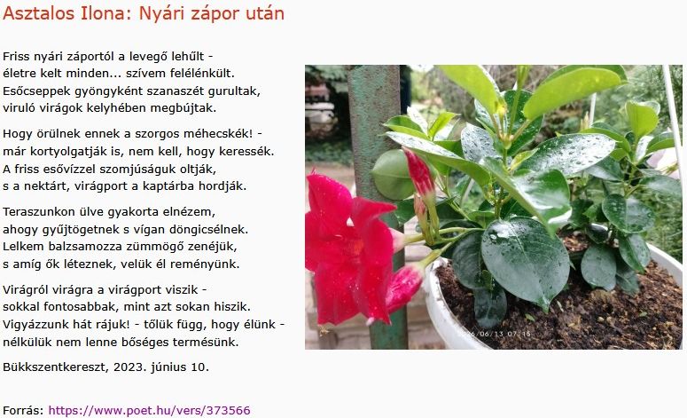 https://margit2.hu/forumba-kepek2/1065-asztalos-ilona-nyari-zapor-utan.jpg