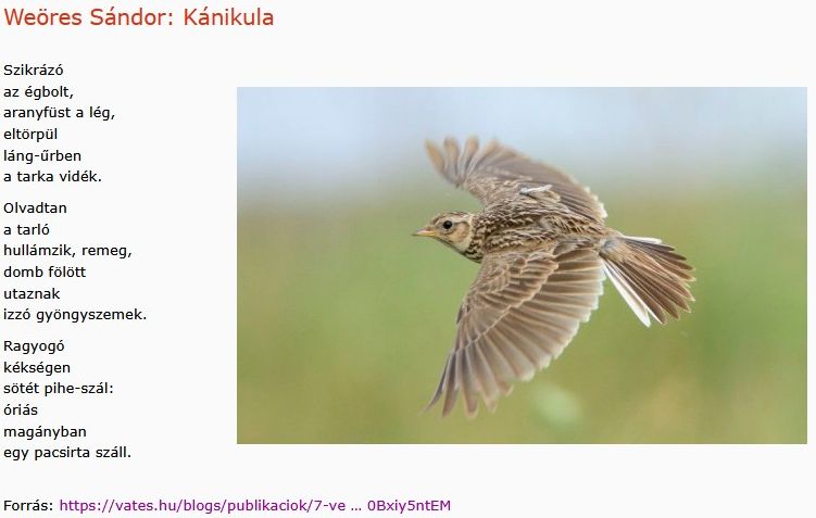 https://margit2.hu/forumba-kepek2/1071-weores-sandor-kanikula.jpg