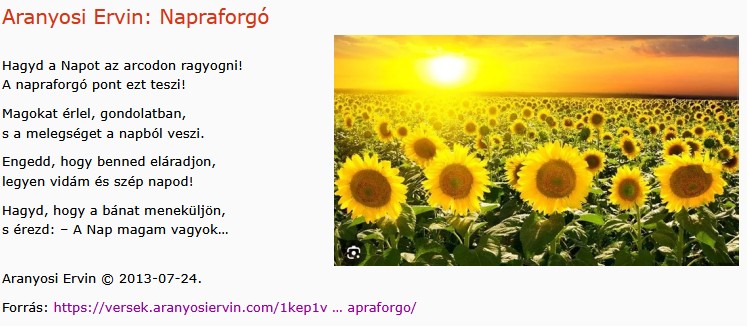https://margit2.hu/forumba-kepek2/1074-aranyosi-ervin-napraforgo.jpg
