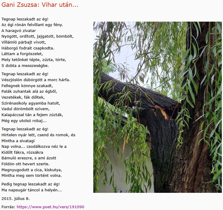 https://margit2.hu/forumba-kepek2/1076-gani-zsuzsa-vihar-utan.jpg