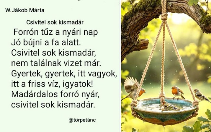 https://margit2.hu/forumba-kepek2/1077-w-jakob-marta-csivitel-sok-kismadar.jpg