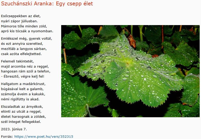 https://margit2.hu/forumba-kepek2/1080-szuchanszki-aranka-egy-csepp-elet.jpg