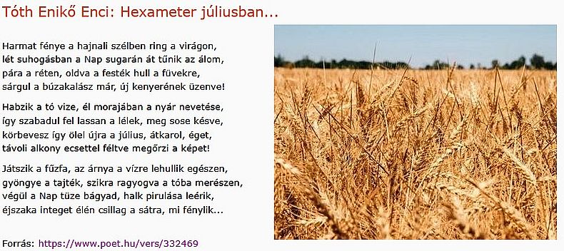 https://margit2.hu/forumba-kepek2/1084-toth-eniko-enci-hexameter.jpg