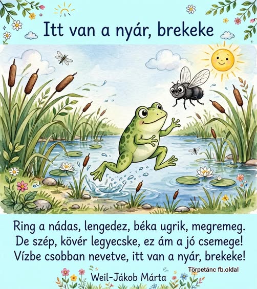 https://margit2.hu/forumba-kepek2/1085-brekeke.jpg