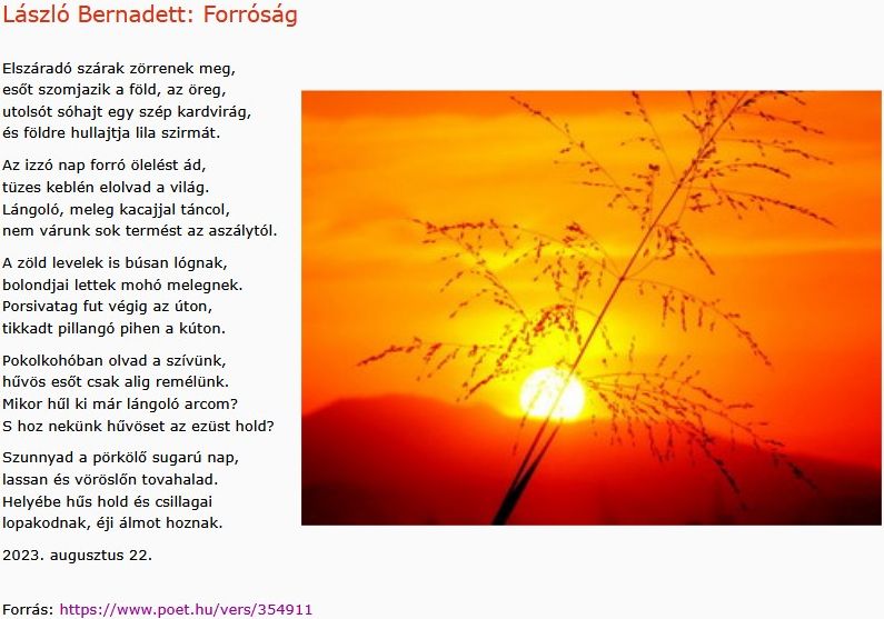 https://margit2.hu/forumba-kepek2/1086-laszlo-bernadett-forrosag.jpg