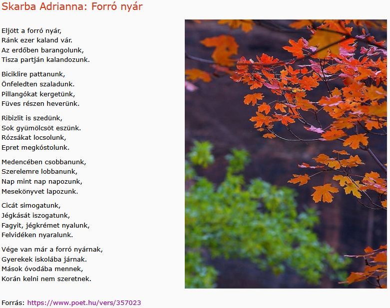 https://margit2.hu/forumba-kepek2/1102-skarba-adrianna-forro-nyar.jpg