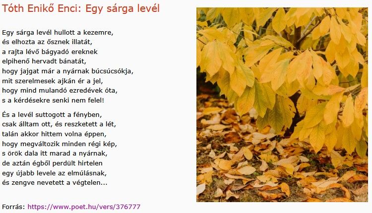 https://margit2.hu/forumba-kepek2/1103-toth-eniko-enci-egy-sarga-level.jpg