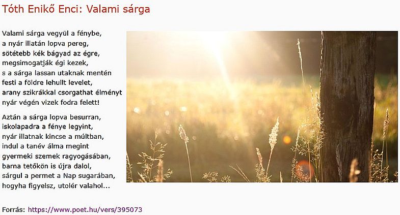 https://margit2.hu/forumba-kepek2/1105-toth-eniko-enci-valami-sarga.jpg