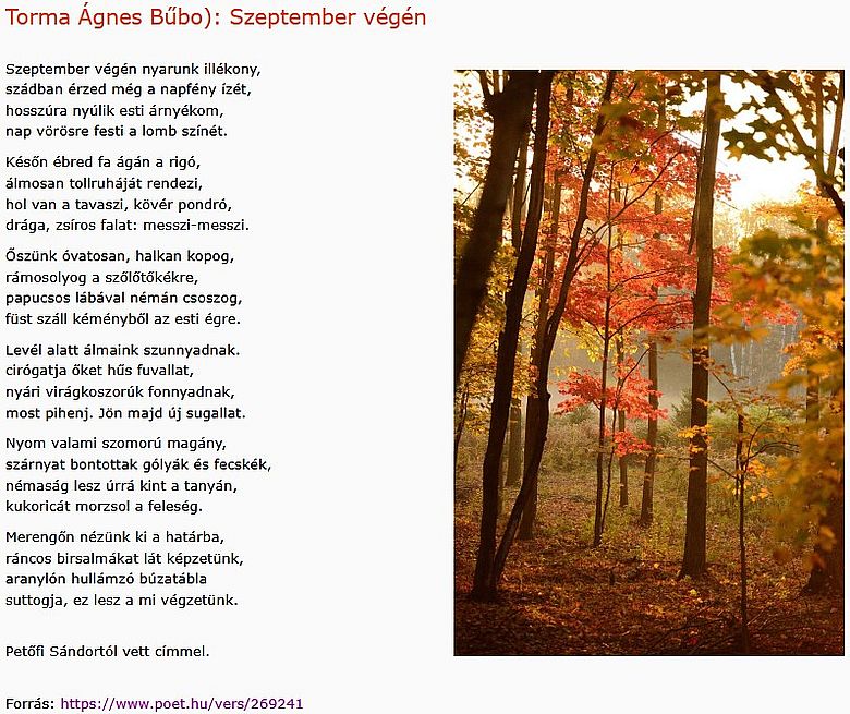 https://margit2.hu/forumba-kepek2/1110-torma-agnes-szeptember-vegen.jpg