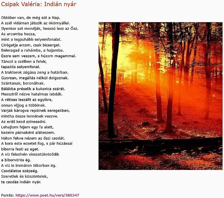 https://margit2.hu/forumba-kepek2/1112-csipak-valeria-indian-nyar.jpg