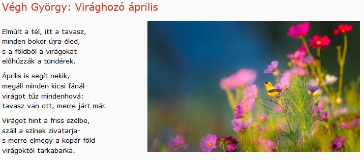 https://margit2.hu/forumba-kepek2/536-vegh-gyorgy-viraghozo-aprilis.jpg