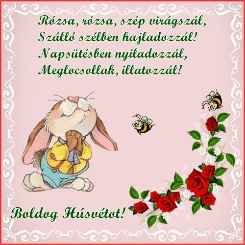 https://margit2.hu/forumba-kepek2/541-rozsa-rozsa.jpg