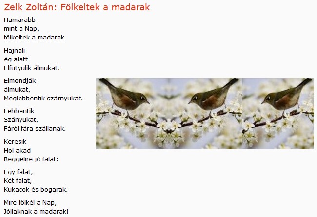 https://margit2.hu/forumba-kepek2/543-zelk-zoltan-folkeltek-a-madarak.jpg