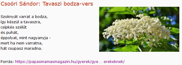 https://margit2.hu/forumba-kepek2/544-csoori-sandor-tavaszi-bodzavers.jpg