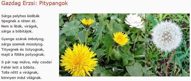 https://margit2.hu/forumba-kepek2/546-gazdag-erzsi-pitypangok.jpg