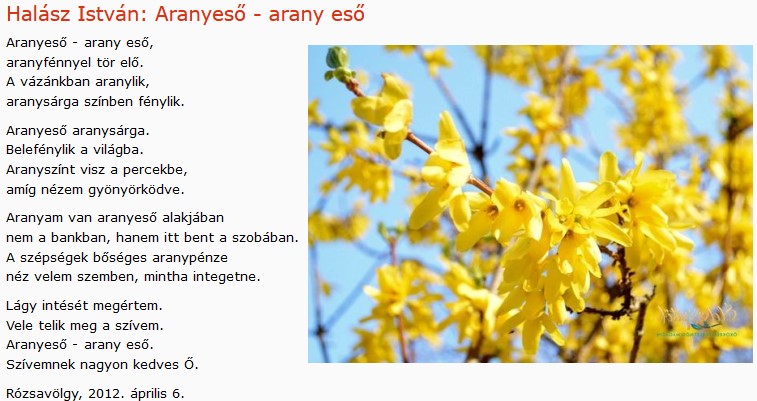 https://margit2.hu/forumba-kepek2/552-halasz-istvan-aranyeso-arany-eso.jpg