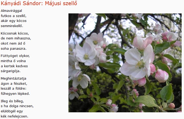 https://margit2.hu/forumba-kepek2/555-kanyadi-sandor-majusi-szello.jpg