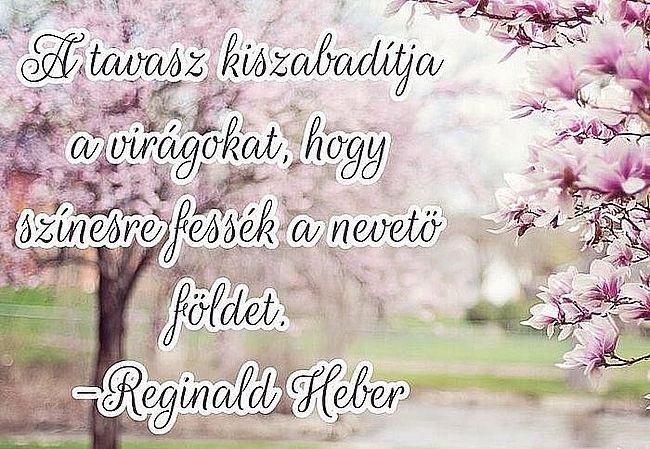 https://margit2.hu/forumba-kepek2/561-a-tavasz.jpg