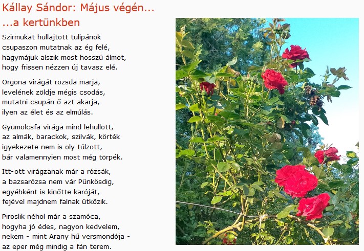 https://margit2.hu/forumba-kepek2/562-kallay-sandor-majus-vegen.jpg