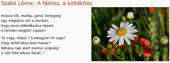 https://margit2.hu/forumba-kepek2/563-szabo-lorinc-a-fakhoz-a-koltokhoz.jpg