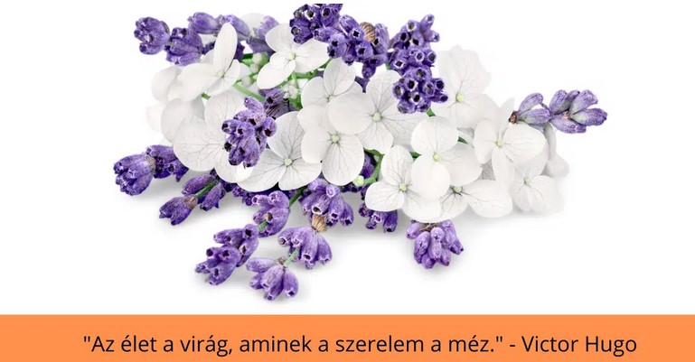 https://margit2.hu/forumba-kepek2/570-az-elet-a-virag.jpg