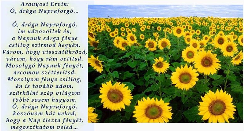 https://margit2.hu/forumba-kepek2/592-aranyosi-ervin-odraganapraforgo.jpg