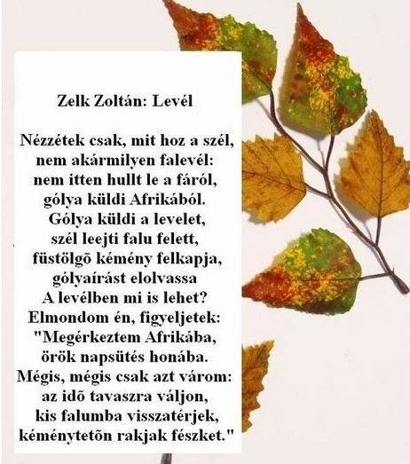 https://margit2.hu/forumba-kepek2/615-zelk-zoltan-level.jpg