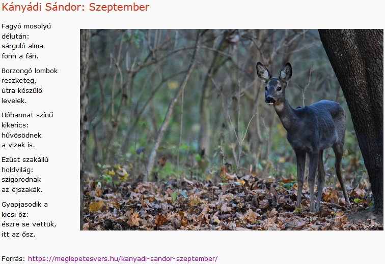 https://margit2.hu/forumba-kepek2/617-kanyadi-sandor-szeptember.jpg