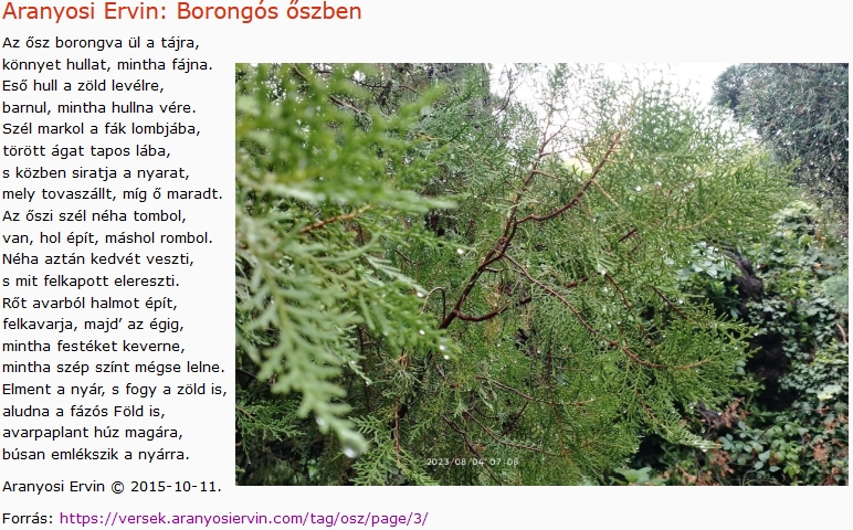 https://margit2.hu/forumba-kepek2/622-aranyosi-ervin-borongos-oszben.jpg