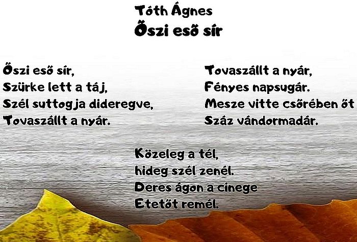 https://margit2.hu/forumba-kepek2/628-toth-agnes-oszi-eso-sir.jpg