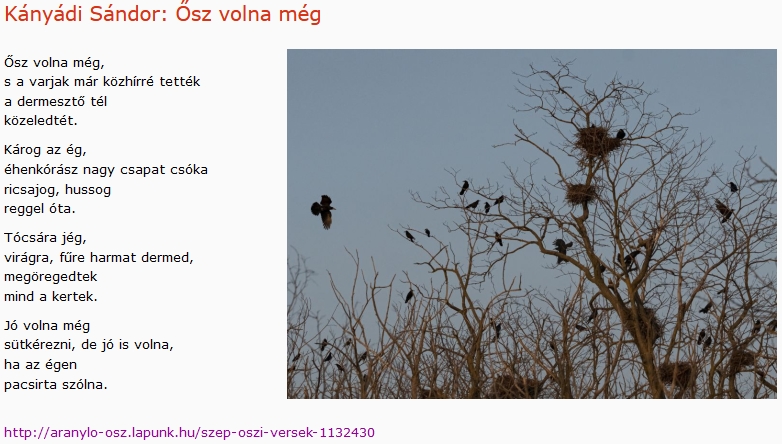 https://margit2.hu/forumba-kepek2/634-kanyadi-sandor-osz-volna-meg.jpg