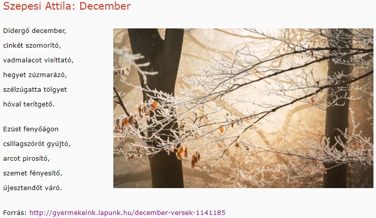 https://margit2.hu/forumba-kepek2/648-szepesi-attila-december.jpg