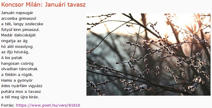 https://margit2.hu/forumba-kepek2/668-koncsor-milan-januari-tavasz.jpg