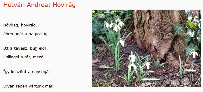 https://margit2.hu/forumba-kepek2/687-hetvari-andrea-hovirag.jpg