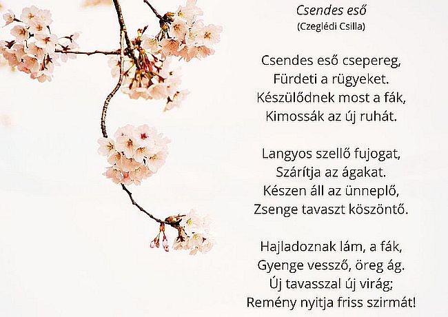 https://margit2.hu/forumba-kepek2/691-czegledi-csilla-csendes-eso.jpg