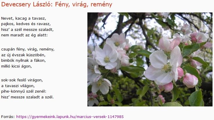 https://margit2.hu/forumba-kepek2/692-devecsery-laszlo-feny-virag-remeny.jpg