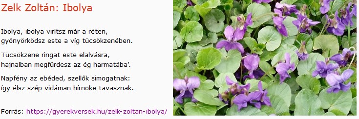 https://margit2.hu/forumba-kepek2/694-zelk-zoltan-ibolya.jpg
